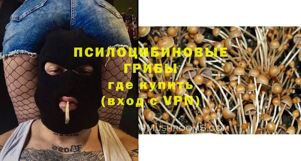молекула духа Архангельск