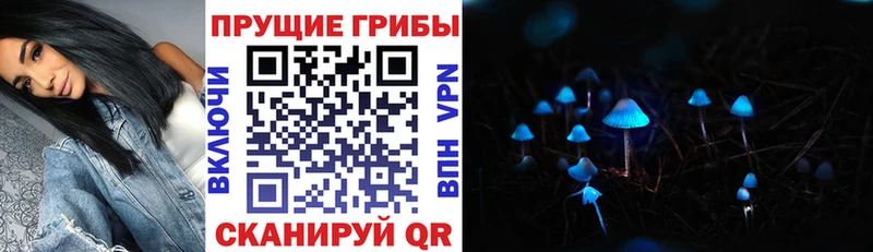 Галлюциногенные грибы ЛСД  mega рабочий сайт  Жуковка 
